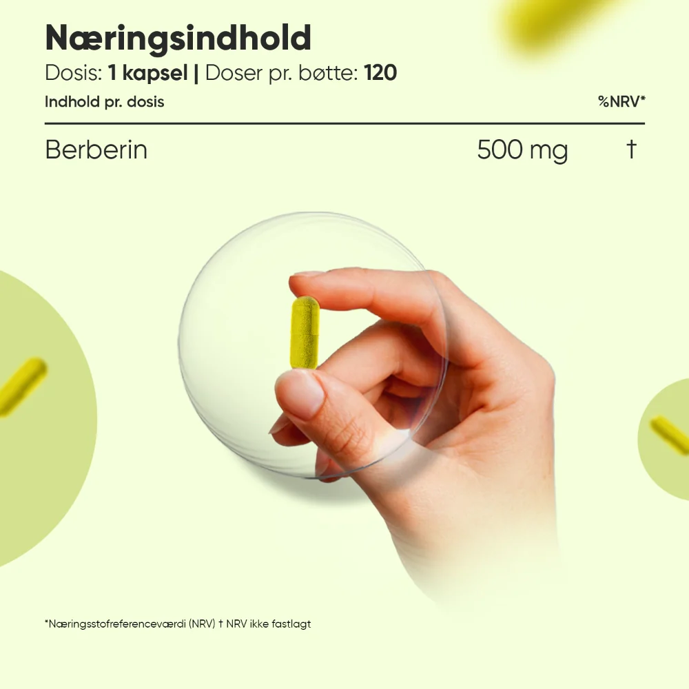 Berberine 500 mg - Image 3