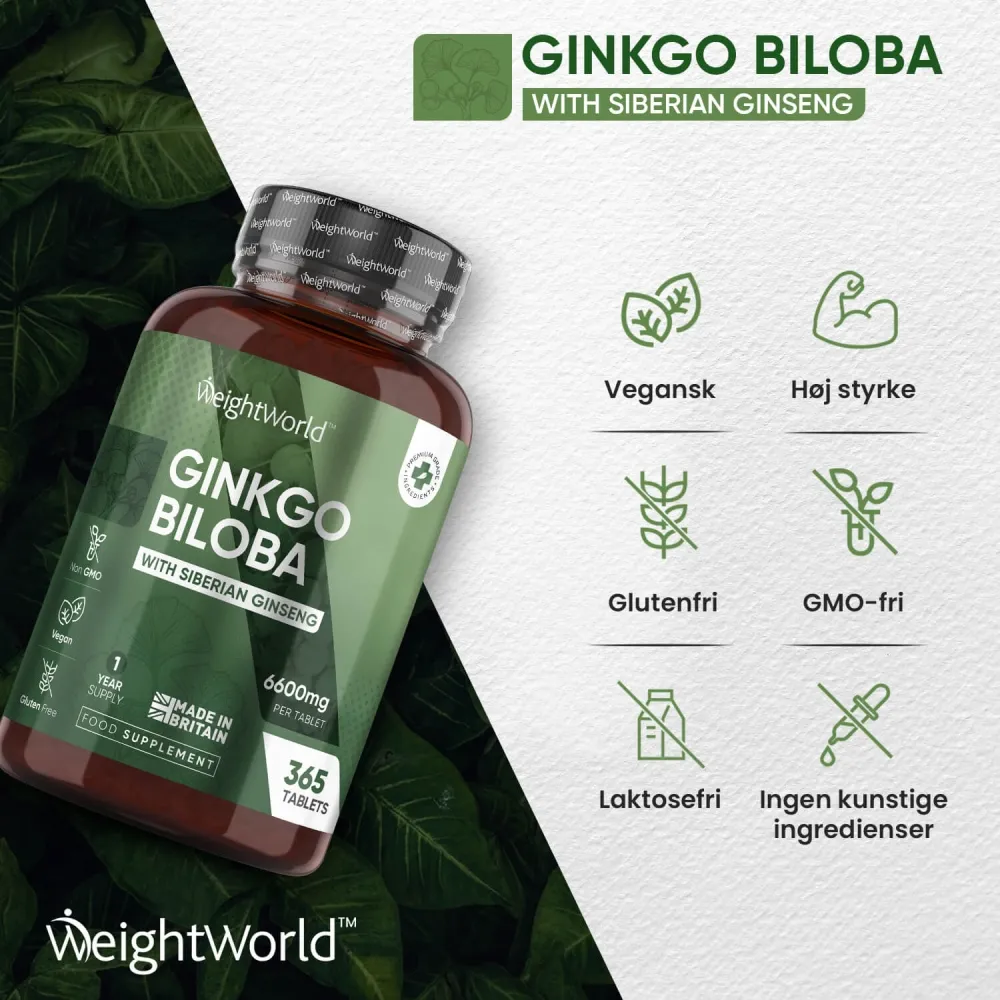 Ginkgo Biloba & Ginseng - Image 3