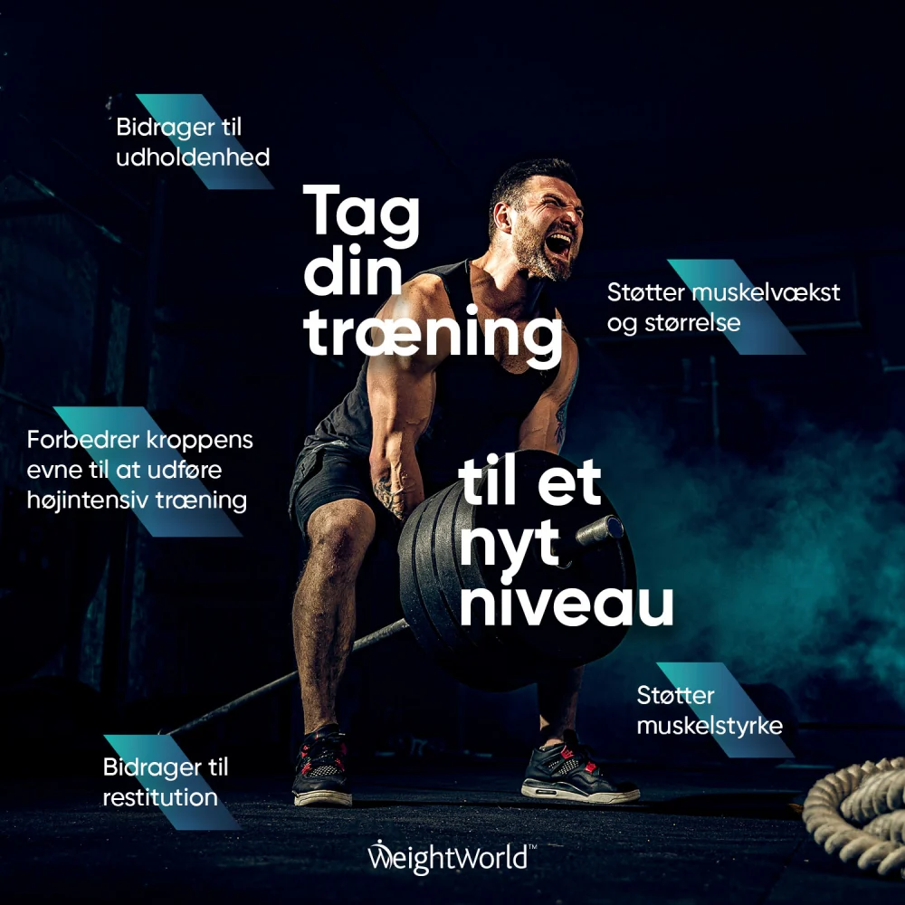 Kreatinpulver (Monohydrat) - Image 12