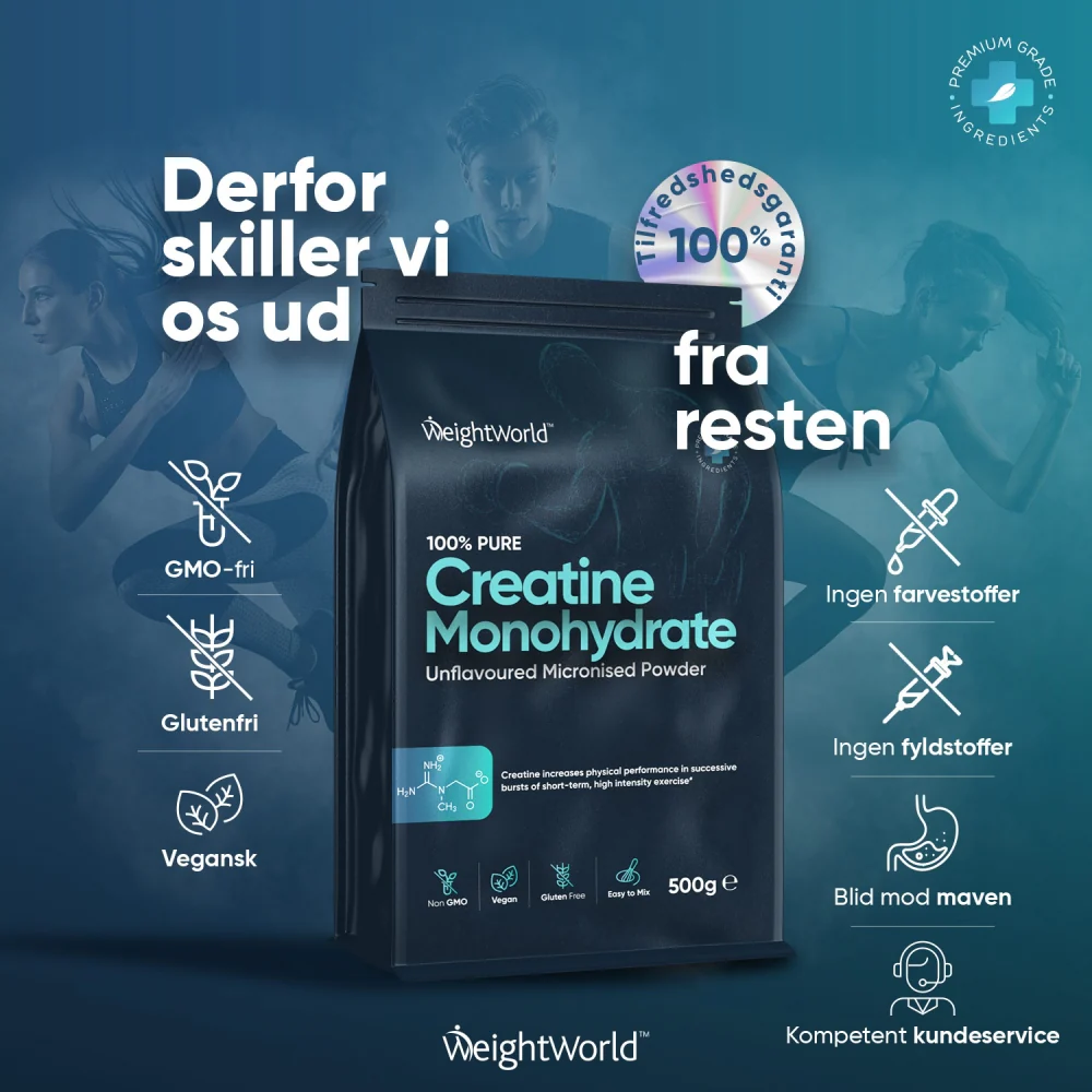 Kreatinpulver (Monohydrat) - Image 16