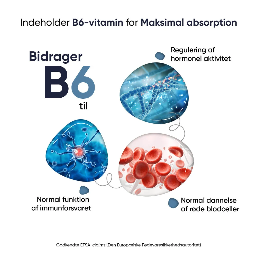 Marine Magnesium + B6-Vitamin - Image 3