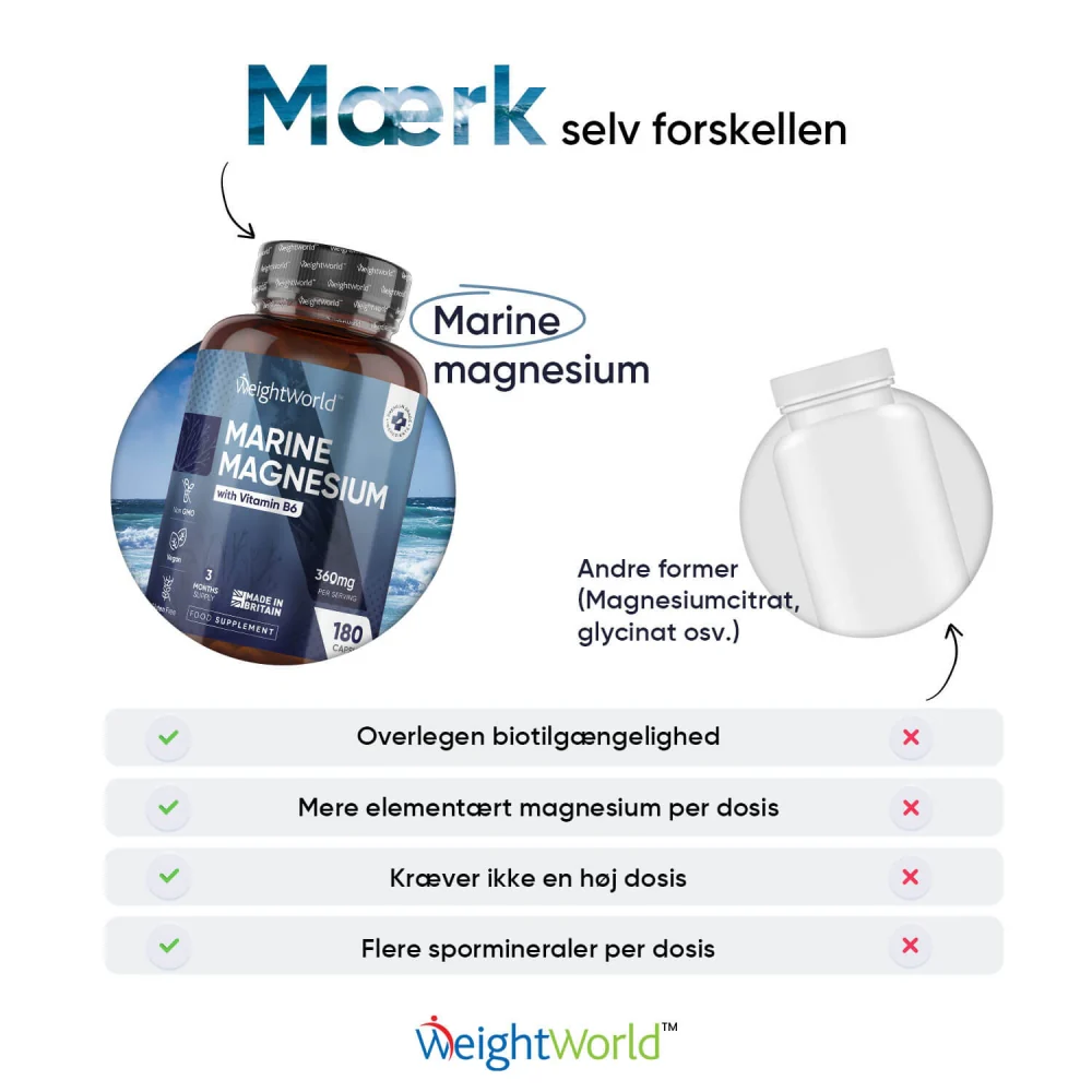 Marine Magnesium + B6-Vitamin - Image 5