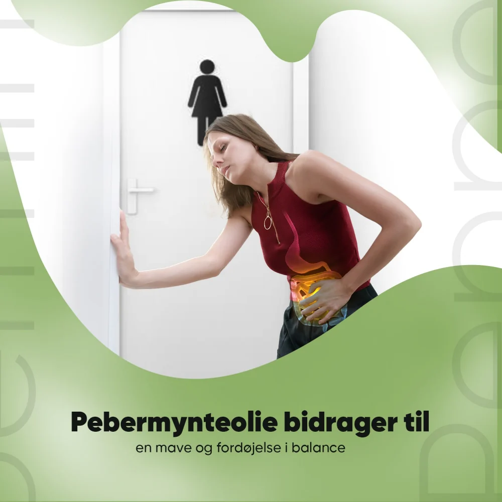 Pebermynteolie 200mg - Image 4